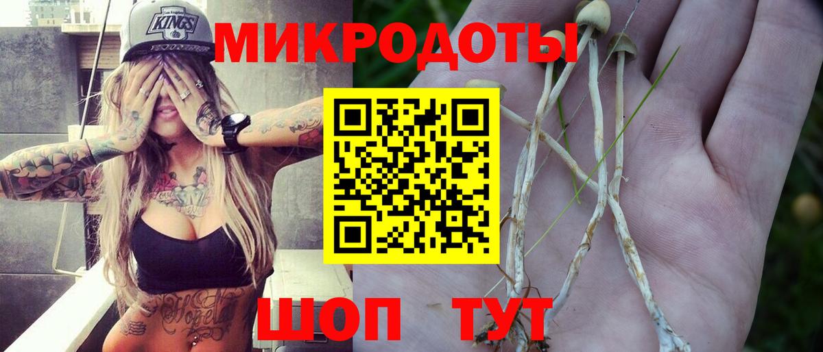 Галлюциногенные грибы Psilocybe Тавда
