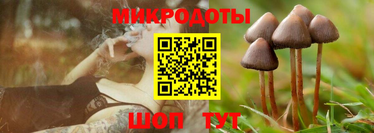 Псилоцибиновые грибы MAGIC MUSHROOMS  Вход с VPN  Тавда 